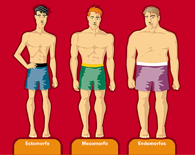 metabolismo-ectoformo