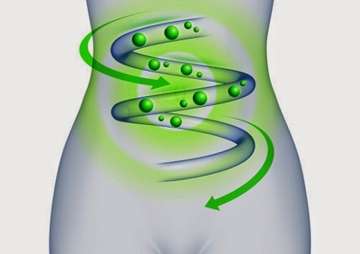 que-es-metabolismo-lento